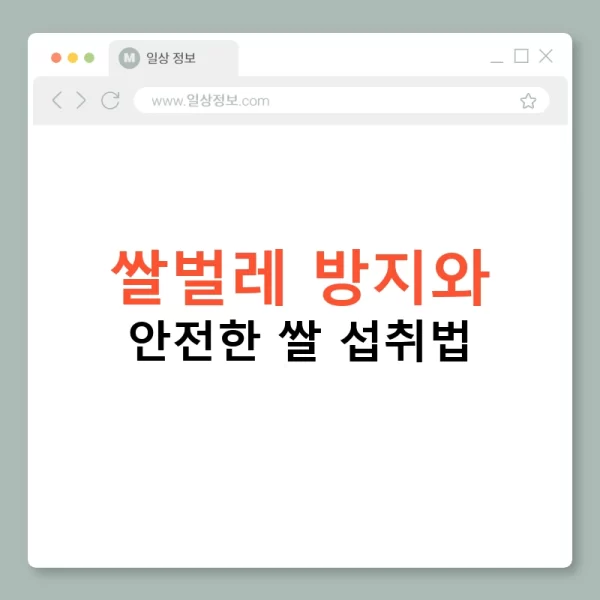 쌀벌레 방지와 안전한 쌀 섭취법