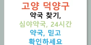 고양 덕양구 약국 찾기, 심야약국, 24시간 약국, 믿고 확인하세요