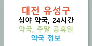 대전 유성구 심야 약국, 24시간 약국, 주말 공휴일 약국 정보