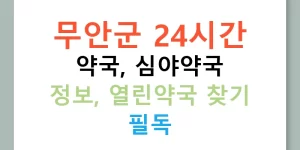 무안군 24시간 약국, 심야약국 정보, 열린약국 찾기 필독