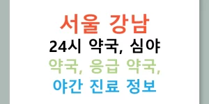 서울 강남 24시 약국, 심야 약국, 응급 약국, 야간 진료 정보