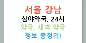 서울 강남 심야약국, 24시 약국, 새벽 약국 정보 총정리!