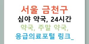 서울 금천구 심야 약국, 24시간 약국, 주말 약국, 응급의료포털 링크!