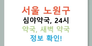 서울 노원구 심야약국, 24시 약국, 새벽 약국 정보 확인!