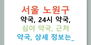 서울 노원구 약국, 24시 약국, 심야 약국, 근처 약국, 상세 정보는?