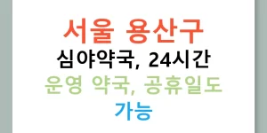 서울 용산구 심야약국, 24시간 운영 약국, 공휴일도 가능