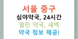 서울 중구 심야약국, 24시간 열린 약국, 새벽 약국 정보 제공!