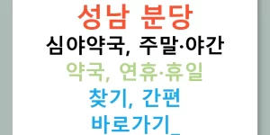 성남 분당 심야약국, 주말·야간 약국, 연휴·휴일 찾기, 간편 바로가기!