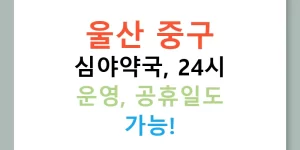 울산 중구 심야약국, 24시 운영, 공휴일도 가능!