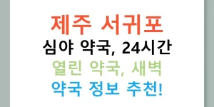 제주 서귀포 심야 약국, 24시간 열린 약국, 새벽 약국 정보 추천!