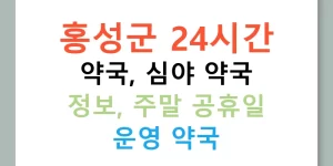 홍성군 24시간 약국, 심야 약국 정보, 주말 공휴일 운영 약국