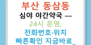 부산 동삼동 심야 야간약국 — 24시 운영, 전화번호·위치 빠른확인 지금바로!