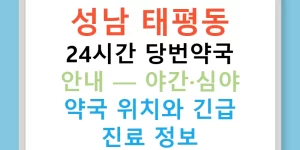 성남 태평동 24시간 당번약국 안내 — 야간·심야 약국 위치와 긴급 진료 정보