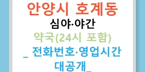 안양시 호계동 심야·야간 약국(24시 포함) | 전화번호·영업시간 대공개!