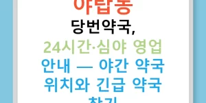 야탑동 당번약국, 24시간·심야 영업 안내 — 야간 약국 위치와 긴급 약국 찾기