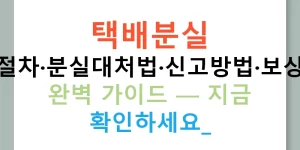 택배분실 보상절차·분실대처법·신고방법·보상기준 완벽 가이드 — 지금 확인하세요!