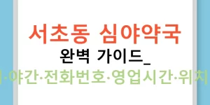 서초동 심야약국 완벽 가이드: 24시·야간·전화번호·영업시간·위치까지
