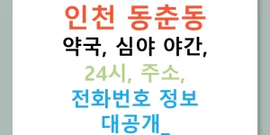 인천 동춘동 약국, 심야 야간, 24시, 주소, 전화번호 정보 대공개!