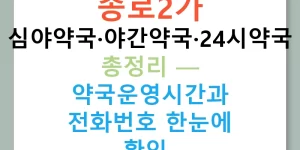 종로2가 심야약국·야간약국·24시약국 총정리 — 약국운영시간과 전화번호 한눈에 확인!