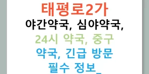 태평로2가 야간약국, 심야약국, 24시 약국, 중구 약국, 긴급 방문 필수 정보!